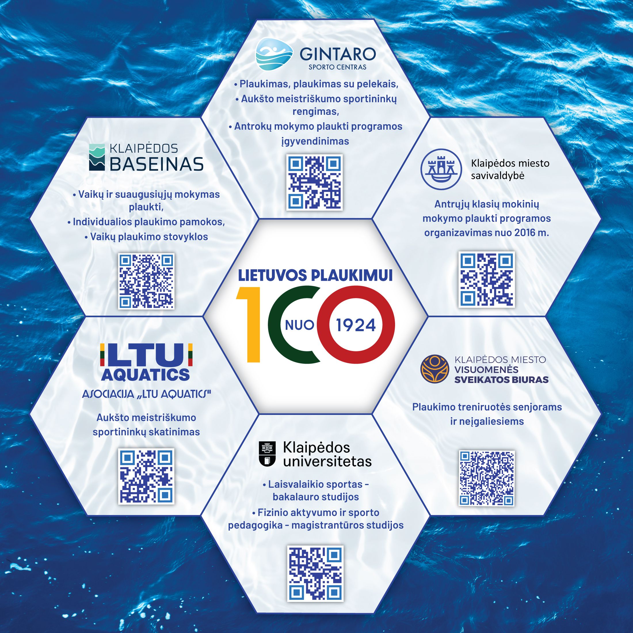 Odoo CMS - a big picture